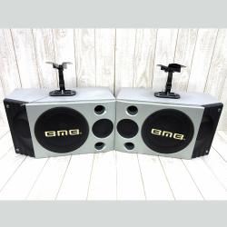 Bmb CS-300V Karaoke Speaker