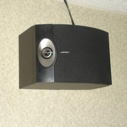 Bose 301 V Speaker