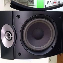Bose 301 V Speaker