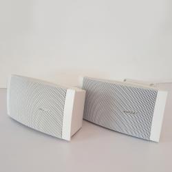 Bose DS-16S Speaker