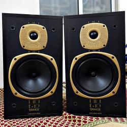 Tannoy E-10 Speaker