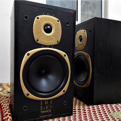 Tannoy E-10 Speaker