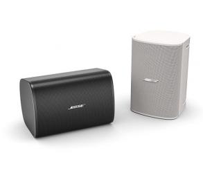 Bose DesignMax DM5SE Wall-mount Speaker