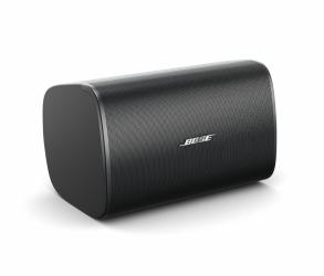 Bose DesignMax DM8S Wall-mount Speaker