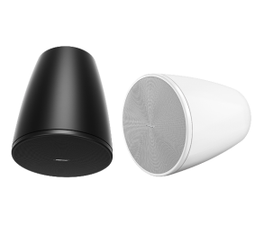 Bose DesignMax DM6PE Pendant Speaker