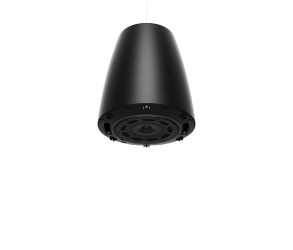 Bose DesignMax DM6PE Pendant Speaker