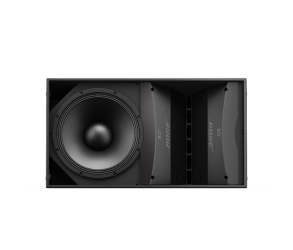 ArenaMatch AM20/100 Outdoor Loudspeaker100x20